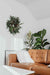Brown leather couch with plants