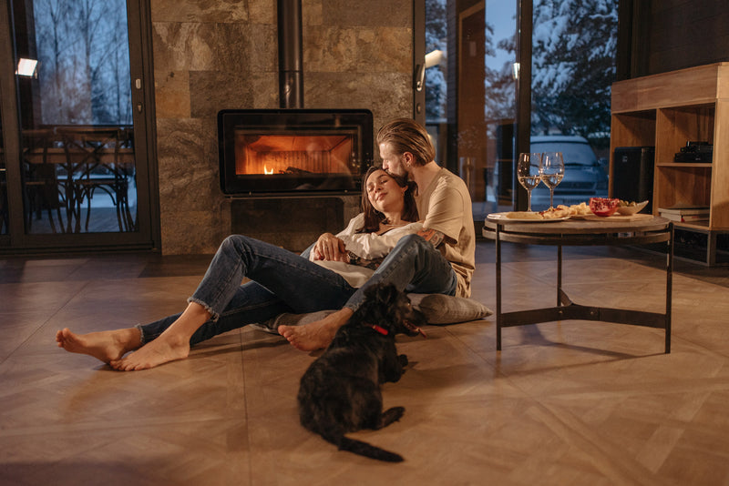 Couple and their dog enjoying a romantic evening in front of a fireplace with wine and snacks